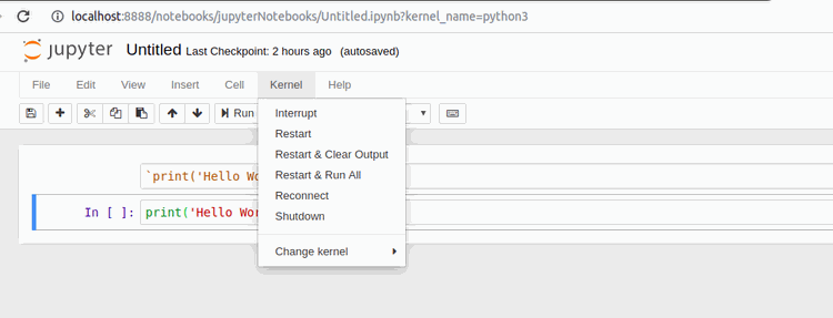 The Ultimate Beginner’s Guide to Jupyter Notebooks - R Systems